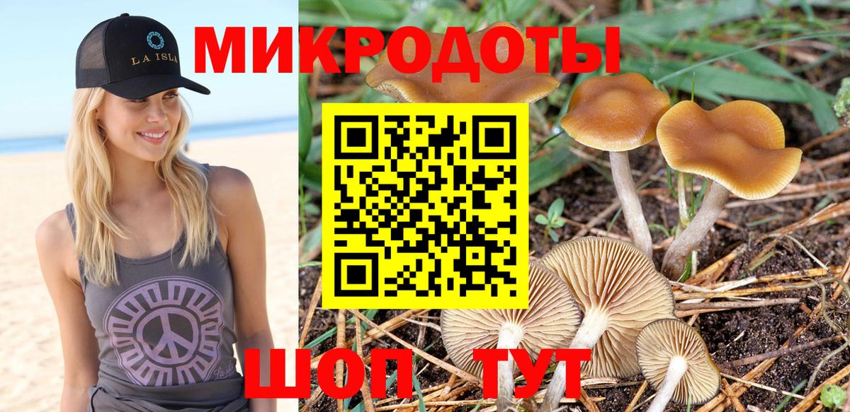 Галлюциногенные грибы Psilocybine cubensis Кубинка